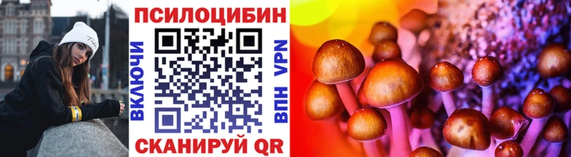 Псилоцибиновые грибы прущие грибы  Купить где  Заозёрск 
